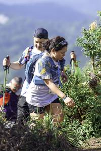 BIB: 
                            <button type="button" onclick="openModal(24766575)" class="btn btn-primary btn-sm float-right btn-popup" data-toggle="modal" data-target=".modal-high-quality">
                        <i class="fas fa-shopping-cart"></i> Add to Cart
                    </button>
                                            <button type="button" onclick="isThisMe(24766575, true)" class="btn btn-success btn-sm float-right btn-popup btn-isme hidden" data-toggle="tooltip" data-placement="bottom" title="นี่คือรูปของคุณใช่ไหม คลิกที่นี่เพื่อเอาเข้าอัลบั้ม">
                        <i class="fas fa-plus"></i> Add to album
                    </button>
                    <button type="button" onclick="isThisMe(24766575, false)" class="btn btn-warning btn-sm float-right btn-popup btn-isnotme hidden">
                        <i class="fas fa-ban"></i> Remove from album
                    </button>